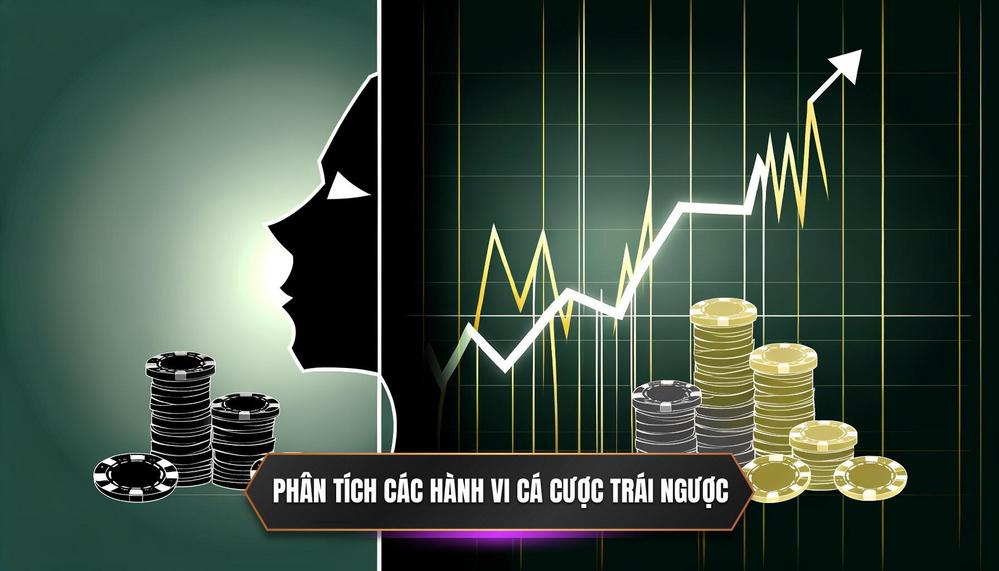 Phân tích các hành vi cá cược trái ngược